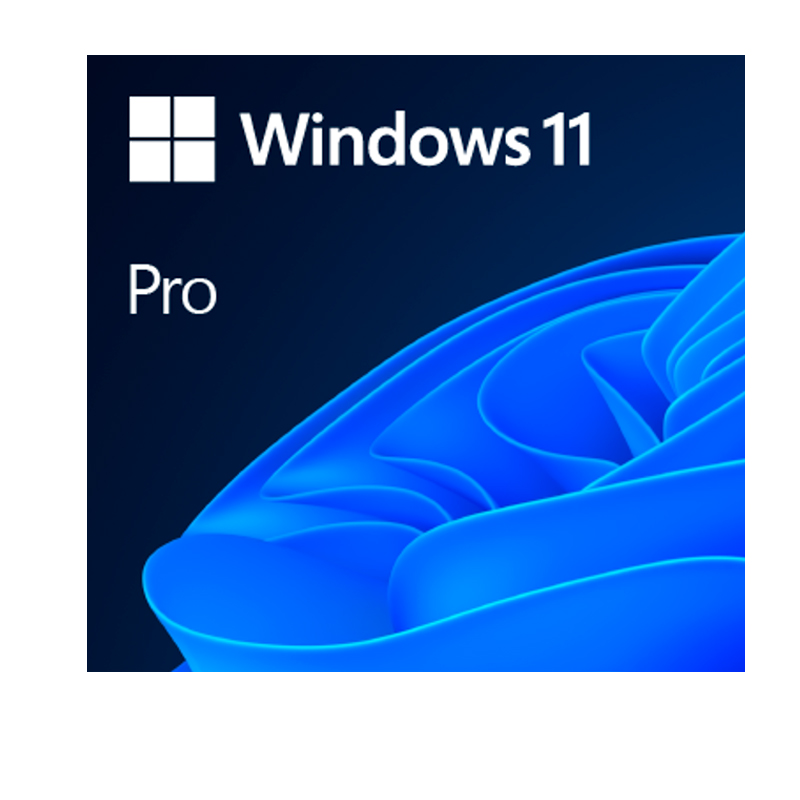 Microsoft Windows 11 Pro 64-bit Spanish LATAM OEM DVD